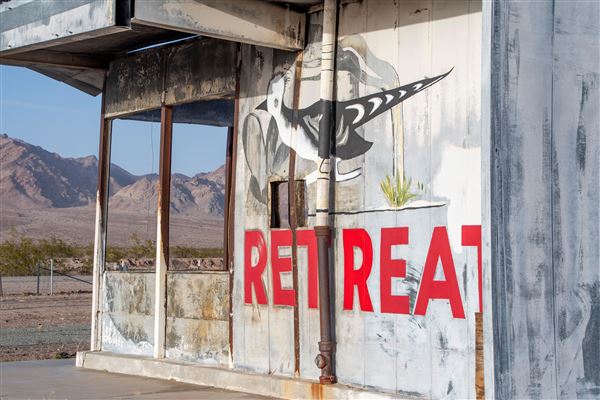 Road Runner's Retreat (3/4/2025 - Credits: Ken Lee and Beth Murray)