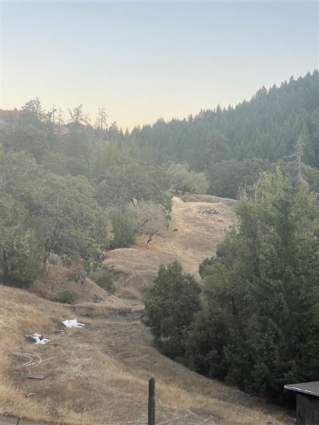 Long Creek Ranch (3/5/2025 - Credits: The Larsen Family)