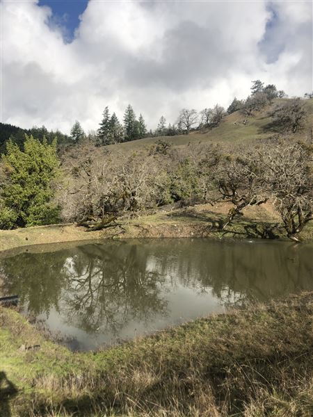Long Creek Ranch (3/5/2025 - Credits: The Larsen Family)