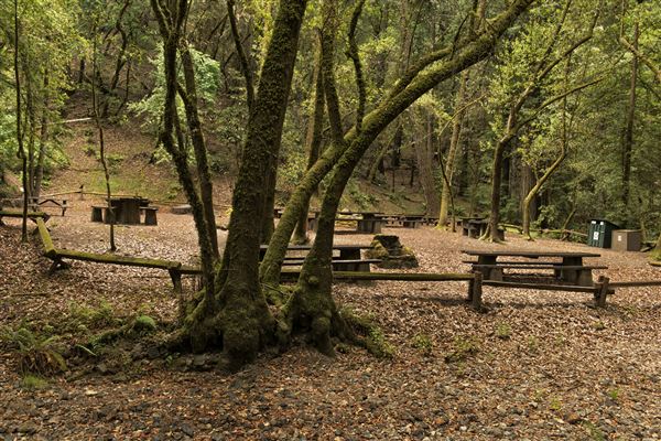 Armstrong Redwoods State Natural Reserve (SNR) (5/26/2015 - Credits: Brian Baer)