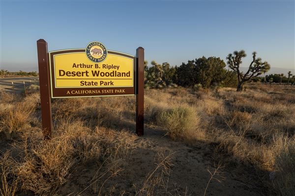 Arthur B. Ripley Desert Woodland State Park (SP) (9/16/2021 - Credits: Brian Baer)