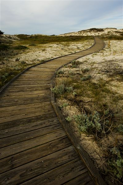 Asilomar State Beach and Conference Grounds (2/3/2010 - Credits: Brian Baer)