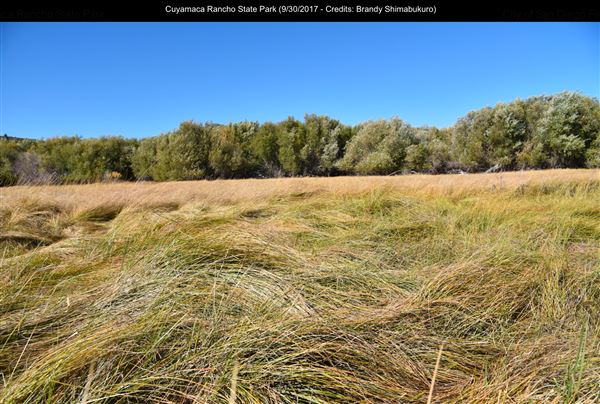 Cuyamaca Rancho State Park (SP), Lake Cuyamaca and Grand Valley Rapids (9/30/2017 - Credits: Brandy Shimabukuro)