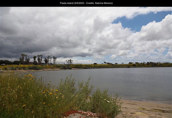 Fiesta Island (5/5/2023 - Credits: Sabrina Moreno)