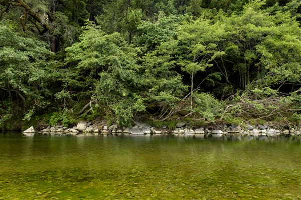 Benbow State Recreation Area (SRA) (8/22/2017 - Credits: Brian Baer)