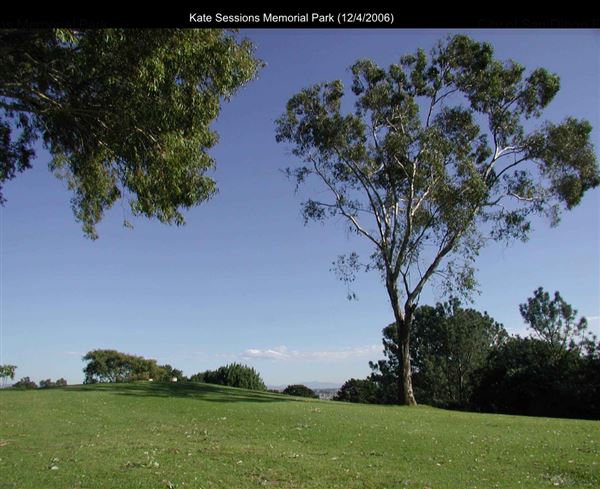Kate Sessions Memorial Park (12/4/2006 - Credits: San Diego Film Commision)