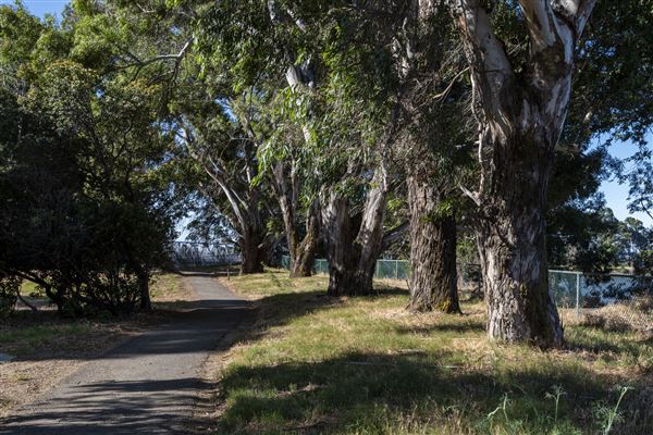 Brannan Island State Recreation Area (SRA) (7/1/2019 - Credits: Brian Baer)