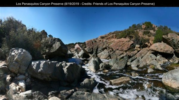 Los Penasquitos Canyon Preserve (8/19/2019 - Credits: Freinds of Los Penasquitos Canyon Preserve)