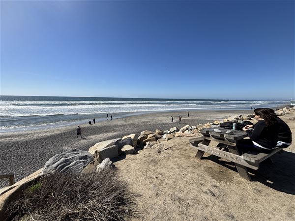 Torrey Pines State Beach (SB) (3/8/2025 - Credits: Brandy Davis)
