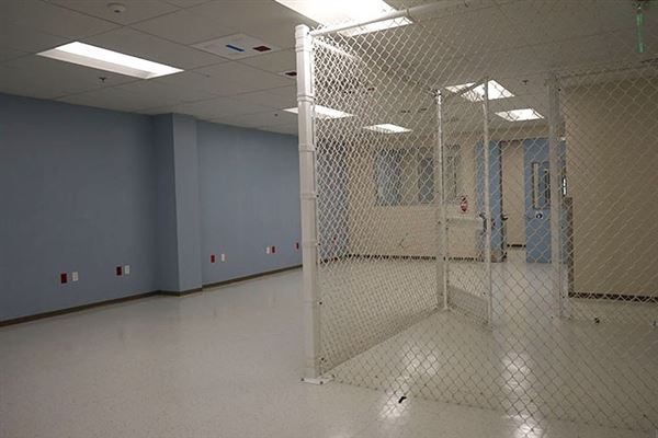 Lemon Labs (12/12/2023 - Credits: David Merabi)