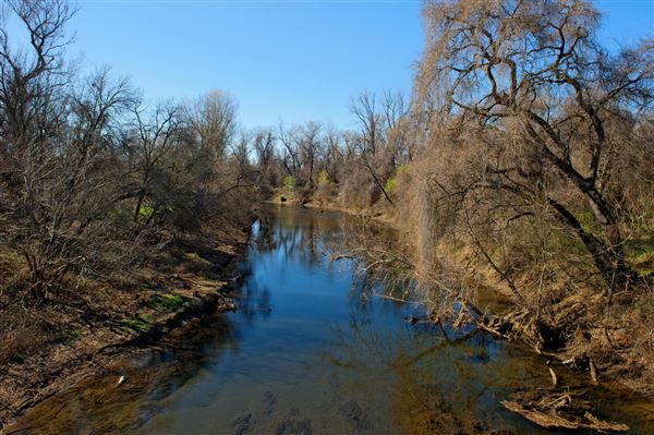 Bidwell-Sacramento River State Park (SP) (3/7/2012 - Credits: Brian Baer)