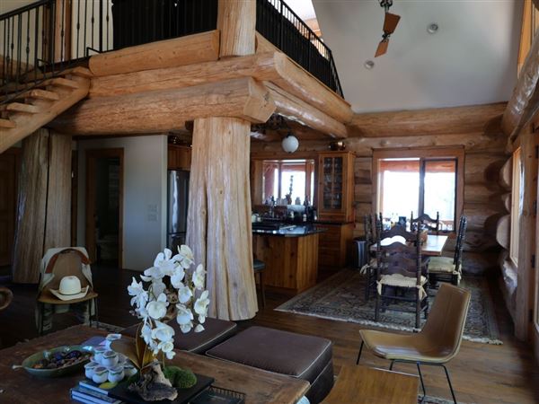 Log Cabin (3/4/2025 - Credits: Dave Mortell)