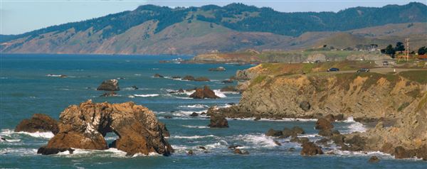 Arched Rock Beach (Sonoma Coast State Park) (4/17/2025 - Credits: Al Mueller)