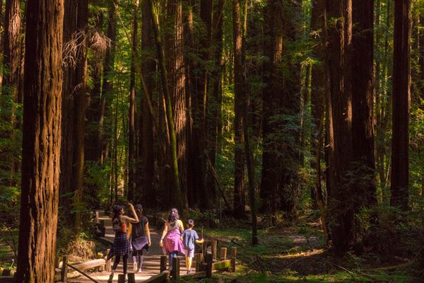 Armstrong Redwoods State Natural Reserve (SNR) (4/17/2025 - Credits: Mariah Harkey)