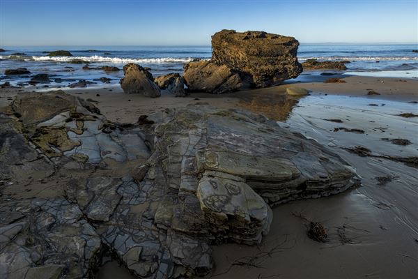 Crystal Cove State Park (SP) (3/23/2022 - Credits: Brian Baer)