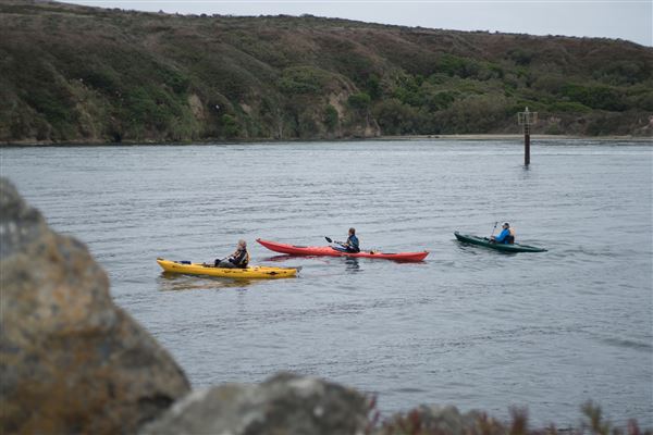 Bodega Bay (4/18/2025 - Credits: Photo Courtesy of Sonoma County)