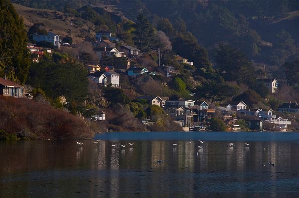 Bodega Bay (4/18/2025 - Credits: Al Mueller)