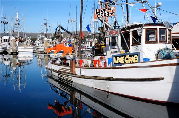 Bodega Bay (4/18/2025 - Credits: Photo Courtesy of Sonoma County)