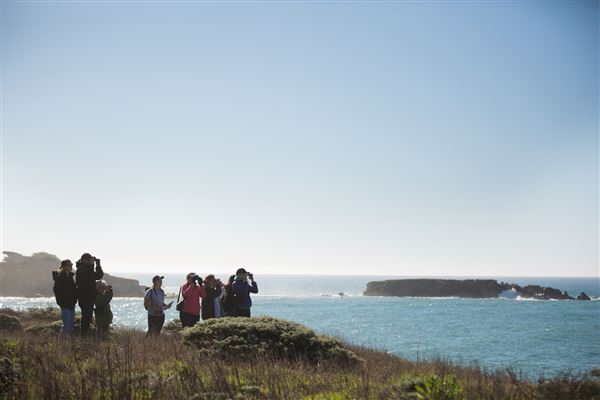 Gualala Point Regional Park (4/21/2025 - Credits: Photo Courtesy of Sonoma County)
