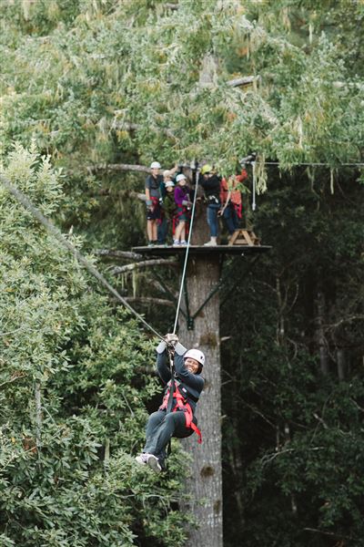 Occidental - Sonoma Canopy Tours - Sonoma Zipline Adventures (4/22/2025 - Credits: Emily Blake)