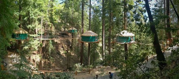 Occidental - Sonoma Canopy Tours - Sonoma Zipline Adventures (4/22/2025 - Credits: Photo Courtesy of Sonoma County)