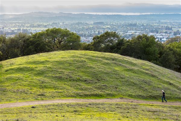 City of Santa Rosa - Taylor Mountain (4/23/2025 - Credits: Photo Courtesy of Sonoma County)