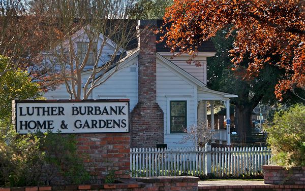 City of Santa Rosa - Luther Burbank Home and Gardens (4/23/2025 - Credits: Al Mueller)