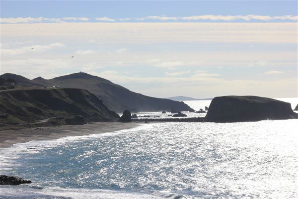 Sonoma Coast State Park (SP) (4/24/2025 - Credits: Photo Courtesy of Sonoma County)