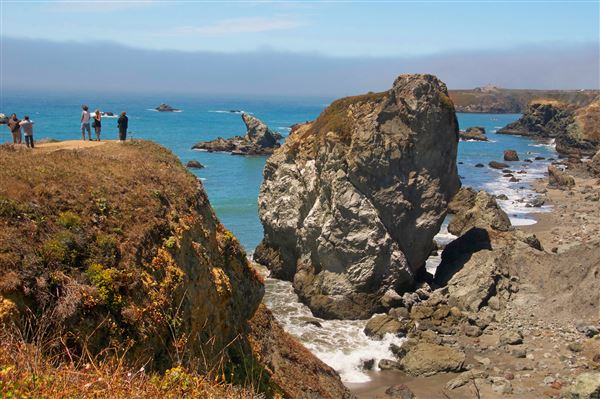 Sonoma Coast State Park (SP) - Gleason Beach - Sonoma Coast State Park (4/24/2025 - Credits: Al Mueller)