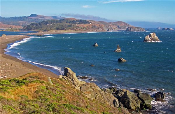Sonoma Coast State Park (SP) - Jenner Beach - Sonoma Coast State Park (4/24/2025 - Credits: Al Mueller)