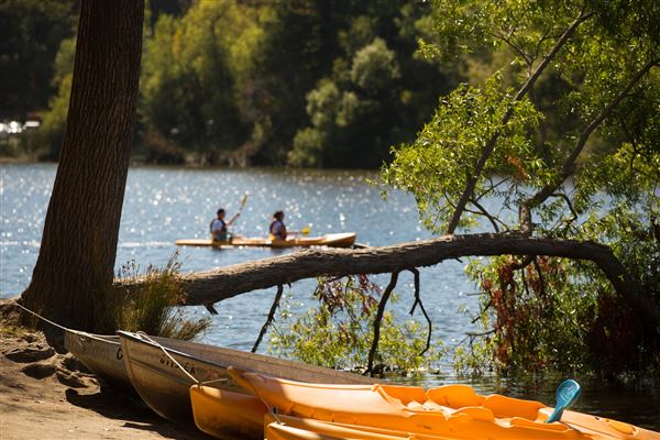 Spring Lake Regional Park (4/24/2025 - Credits: Photo Courtesy of Sonoma County)