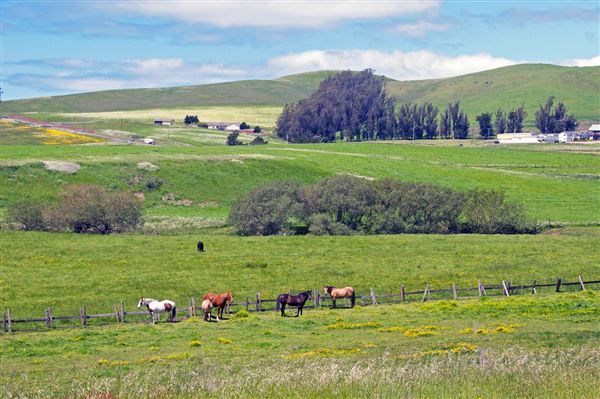 Valley Ford (4/25/2025 - Credits: Al Mueller)