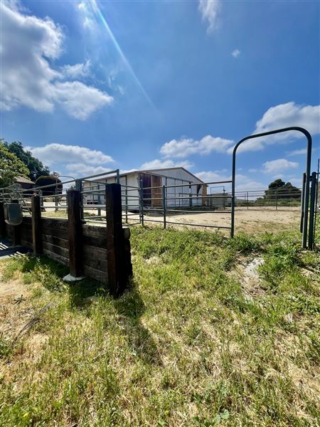 Bedrock Property (4/28/2025 - Credits: David Dadoyan)