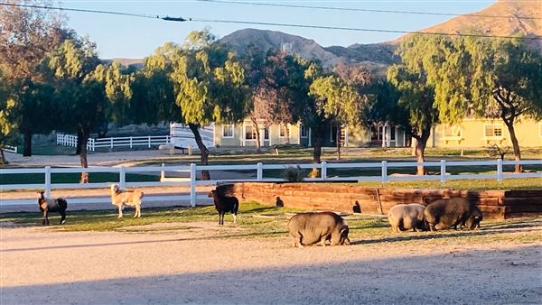 Sunny Canyon Ranch (4/28/2025 - Credits: submitted by: Lynn Borneman)