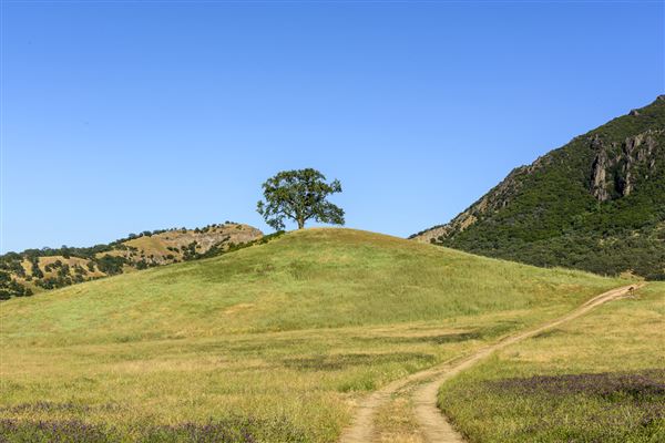 Sutter Buttes State Park (SP) (5/15/2017 - Credits: Brian Baer)