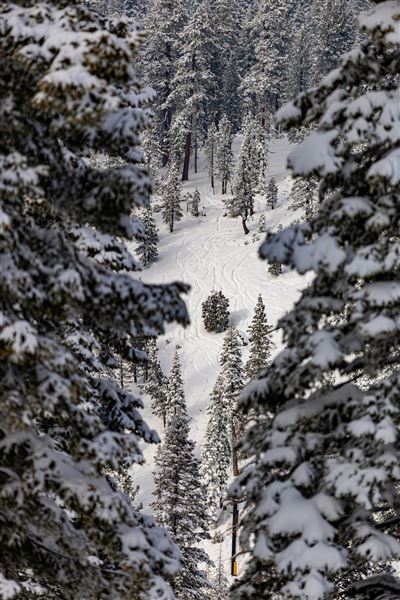 Dodge Ridge Mountain Resort (5/28/2025 - Credits: Dodge Ridge Mountain Resort)