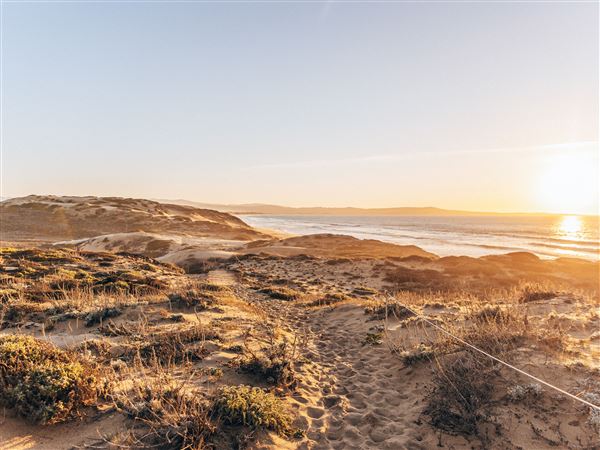 Fort Ord Dunes State Park (SP) (12/10/2021 - Credits: SeeMonterey.com)