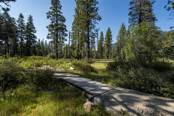 Ward Creek Park Property (7/17/2018 - Credits: Brian Baer)