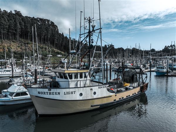 Noyo Harbor District (6/13/2025 - Credits: Photo Courtesy of Noyo Harbor District)