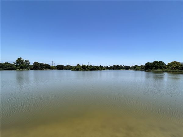 Whittier Narrows Recreation Area / LA County Parks - US Army Corps of Engineers - Legg Lake (6/17/2025 - Credits: Brandy Davis)