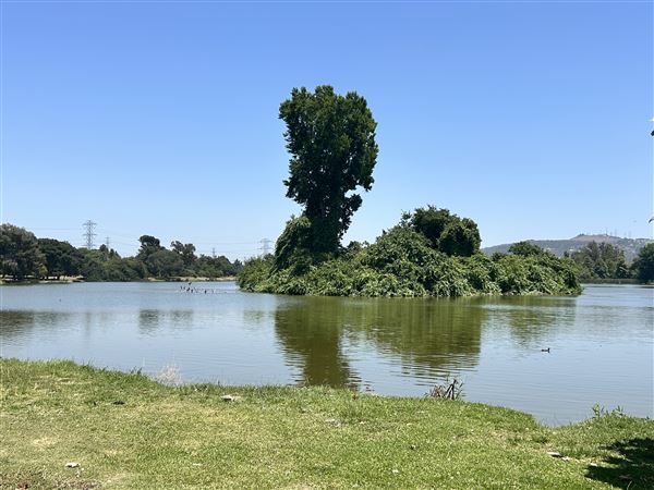 Whittier Narrows Recreation Area / LA County Parks - US Army Corps of Engineers - Legg Lake (6/17/2025 - Credits: Brandy Davis)