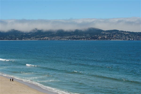 Sand City Beach / Eolian Dunes Preserve (6/18/2025 - Credits: SeeMonterey.com)