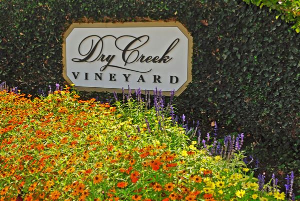 Dry Creek Vineyard (6/30/2025 - Credits: Al Mueller)