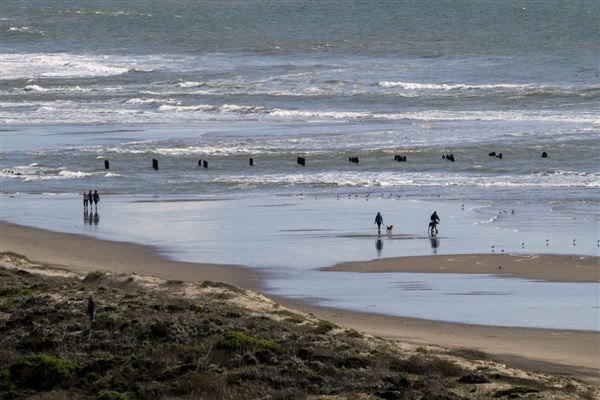 Sunset State Beach (SB) (3/9/2024 - Credits: Brian Baer)