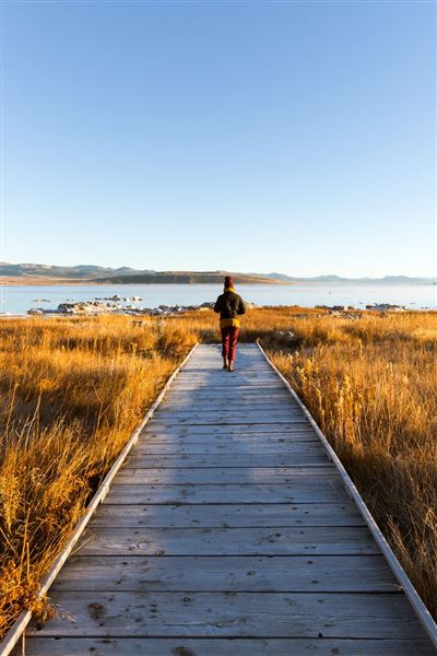 Mono Lake Tufa State Natural Reserve (SNR) / South Tufa Lake - Inyo National Forest (NF) (7/25/2025 - Credits: Visit USA Parks)
