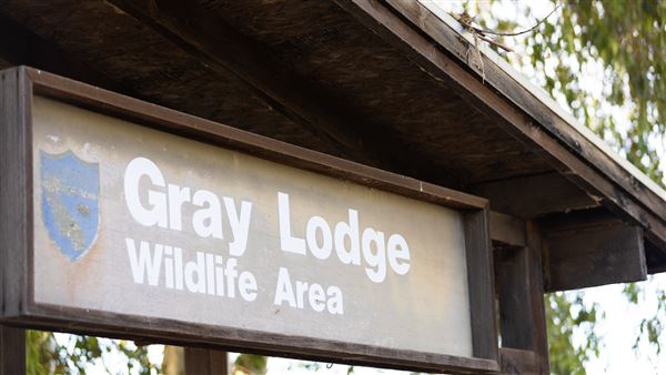 Gray Lodge Wildlife Area - California Department of Fish & Wildlife (CDFW) (7/28/2025 - Credits: U.S. Bureau of Reclamation)