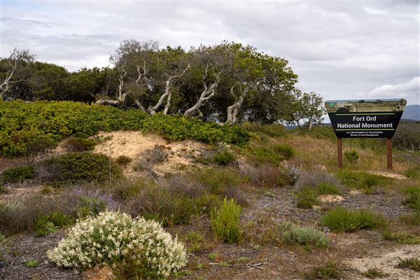 Fort Ord National Monument (6/16/2023 - Credits: Jesse Pluim, BLM, Public Domain)