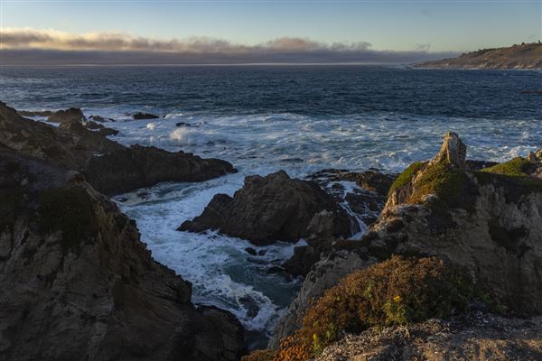 Garrapata State Park (SP) (10/15/2024 - Credits: Brian Baer)