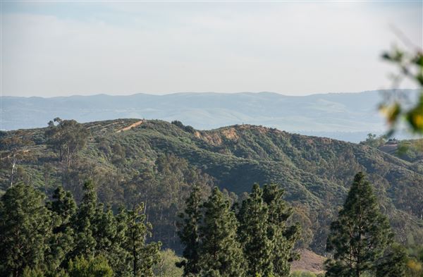 Peters Canyon Regional Park (8/12/2025 - Credits: Courtesy of OC Parks)