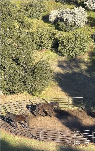 Agua Dulce Horse Ranch (8/13/2025 - Credits: Lisa Fara All rights reserved, property owner photographs)